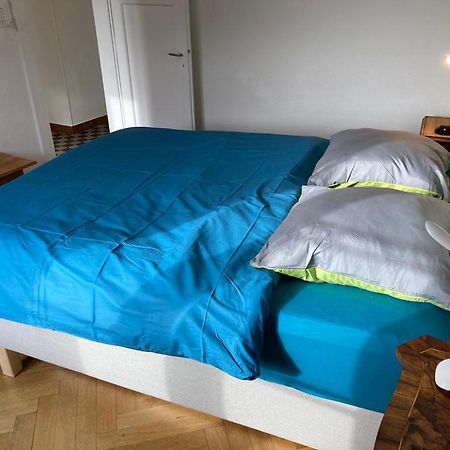Joli 2 Pieces Dernier Etage, Lausanne Centre ภายนอก รูปภาพ