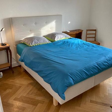 Joli 2 Pieces Dernier Etage, Lausanne Centre ภายนอก รูปภาพ