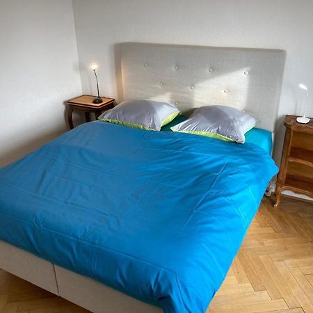 Joli 2 Pieces Dernier Etage, Lausanne Centre ภายนอก รูปภาพ