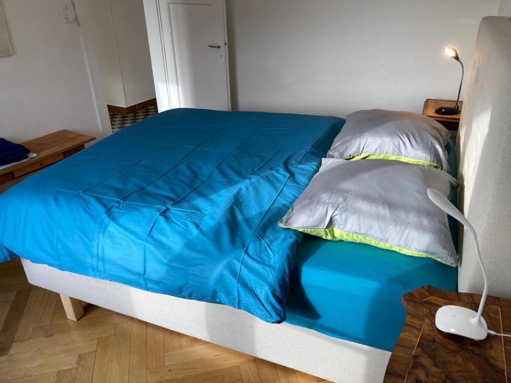 Joli 2 Pieces Dernier Etage, Lausanne Centre ภายนอก รูปภาพ