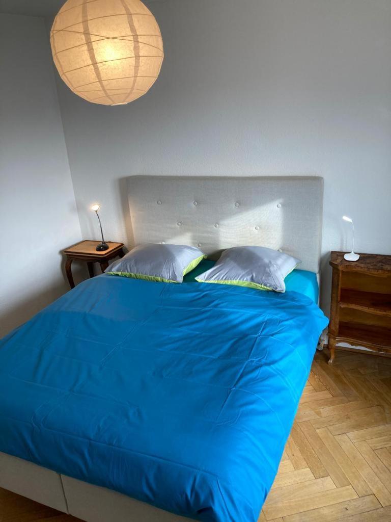 Joli 2 Pieces Dernier Etage, Lausanne Centre ภายนอก รูปภาพ