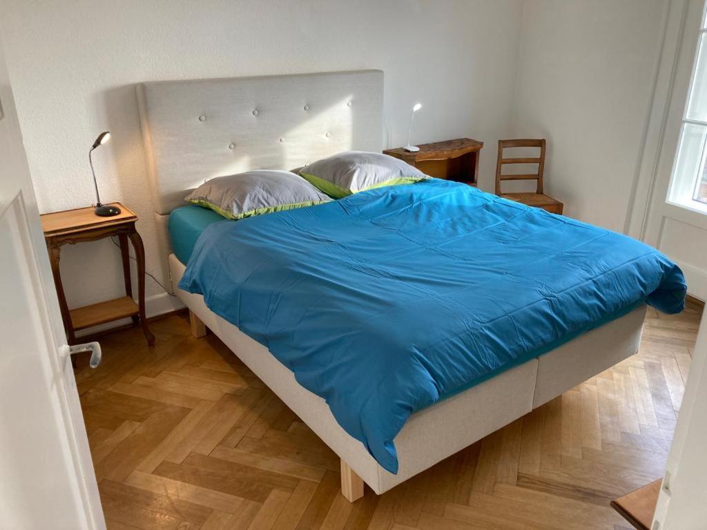 Joli 2 Pieces Dernier Etage, Lausanne Centre ภายนอก รูปภาพ