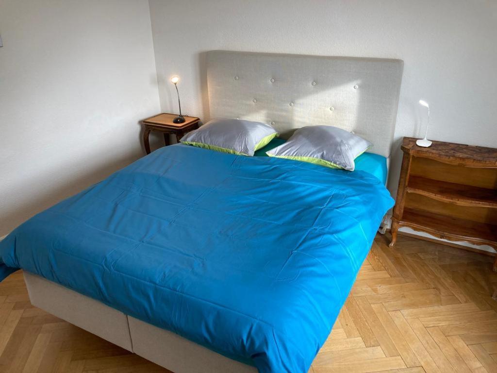 Joli 2 Pieces Dernier Etage, Lausanne Centre ภายนอก รูปภาพ